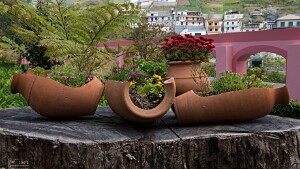 Madeira
